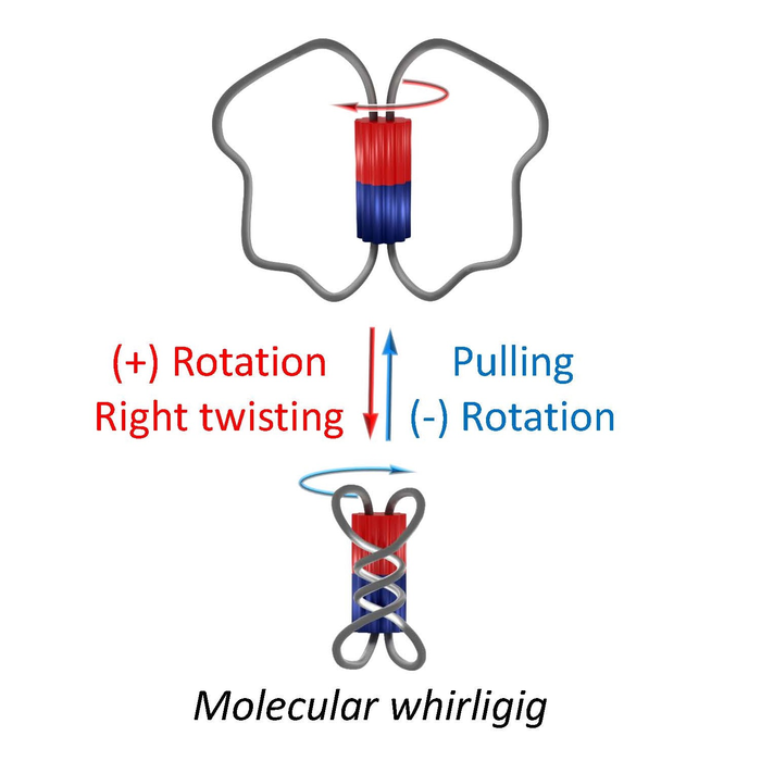 All wound up: A reversible molecular whirligig