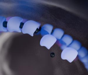 Proteins add onto a filament after binding an energy source