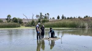 USC research on Upper Newport Bay