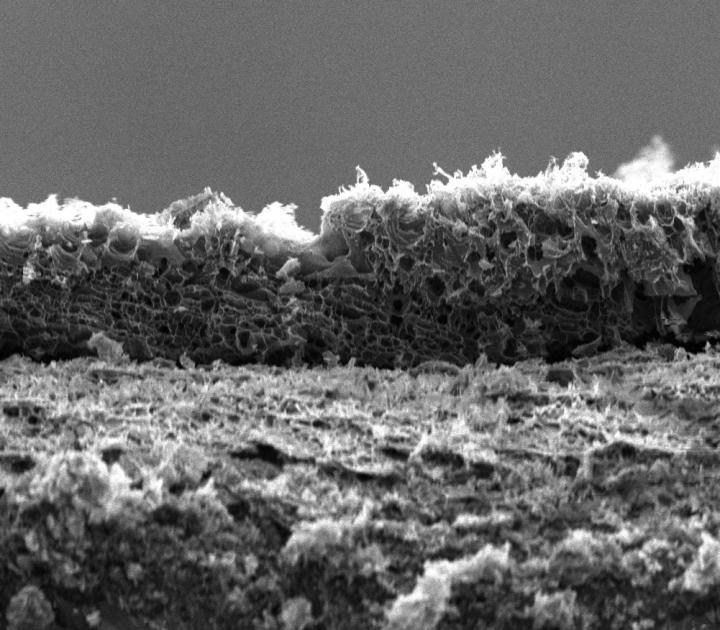 Foamy Surface of a Polyimide Treated with Boron