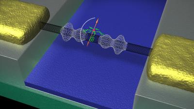 The Spin of a Molecule Changes and Deforms the Nanotube Mounted between 2 Electrodes