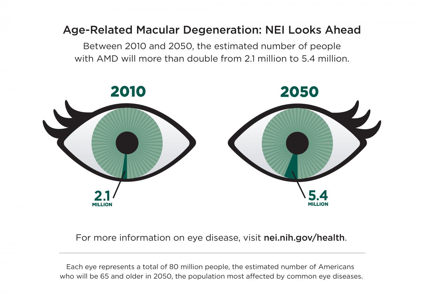 Age-Related Macular Degeneration: NEI Looks Ahead