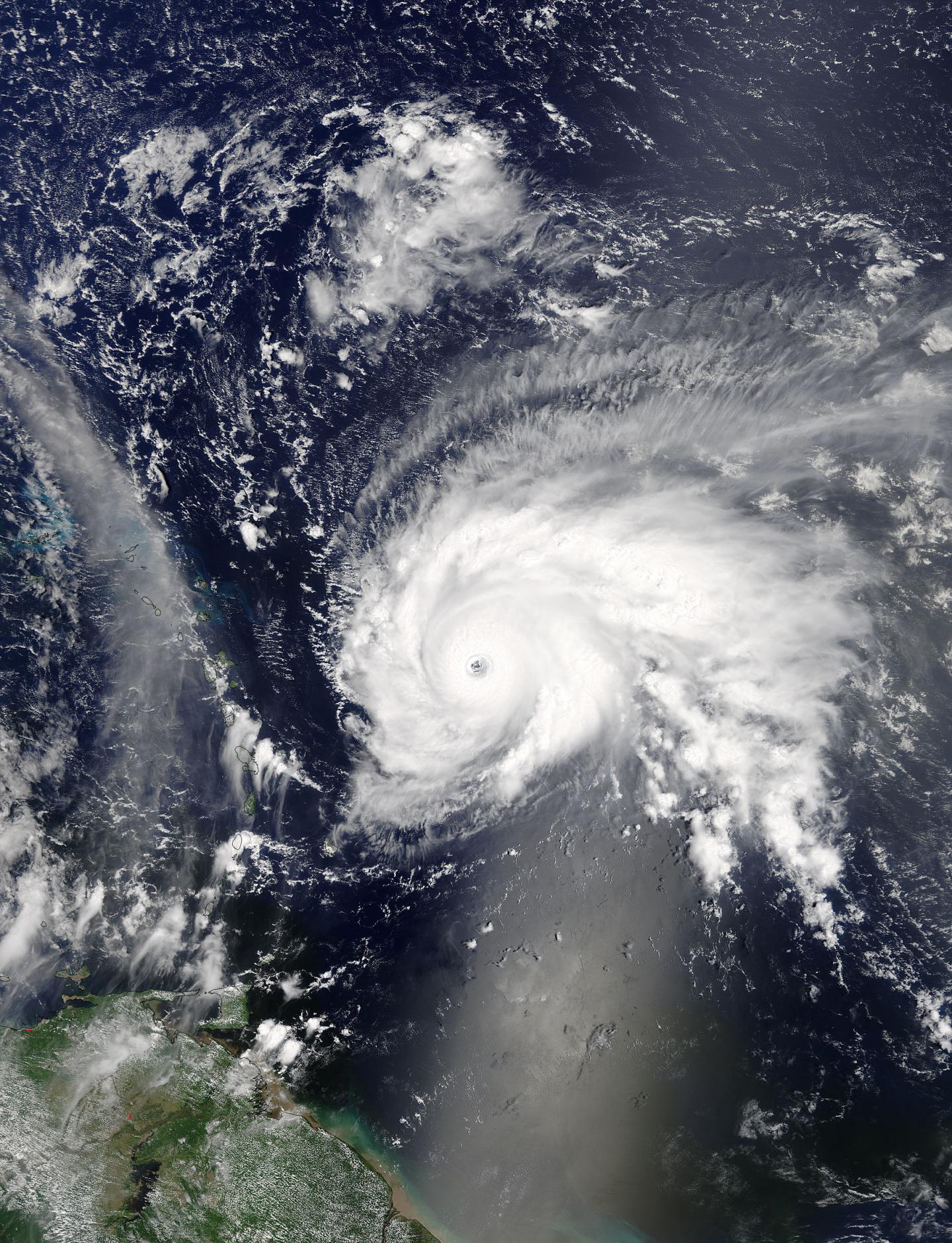 Terra Image of Jose