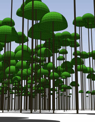 SERA Simulation of Tree Canopies