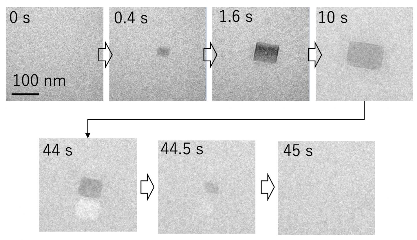 Fig.2