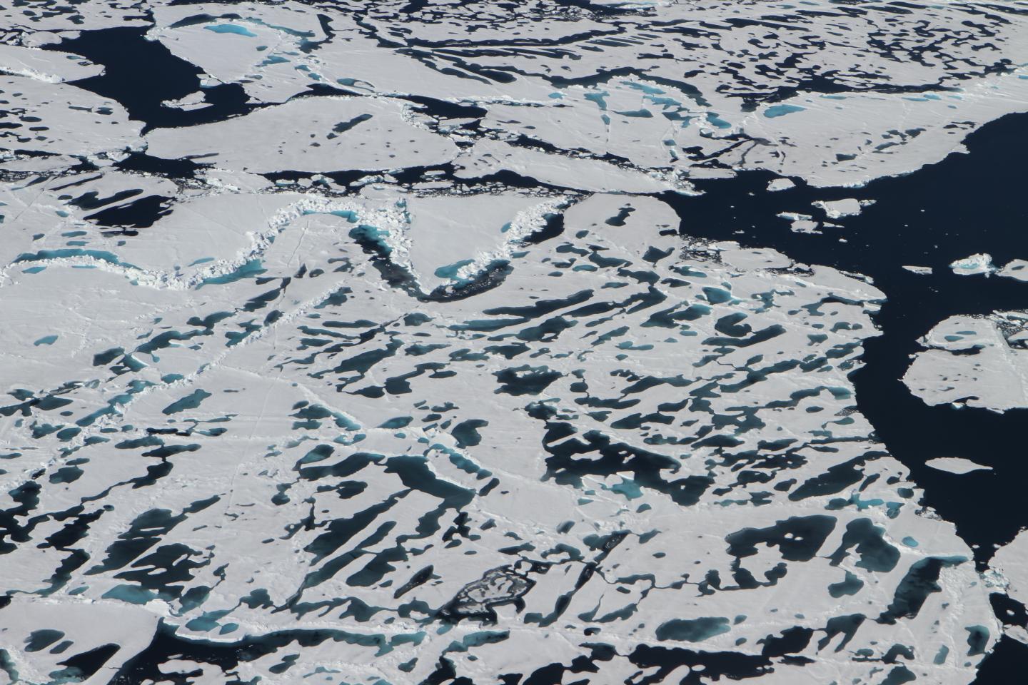 Sea Ice (2 of 2)