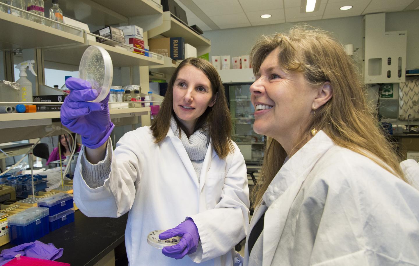 Stem Cell Lab University of Washington