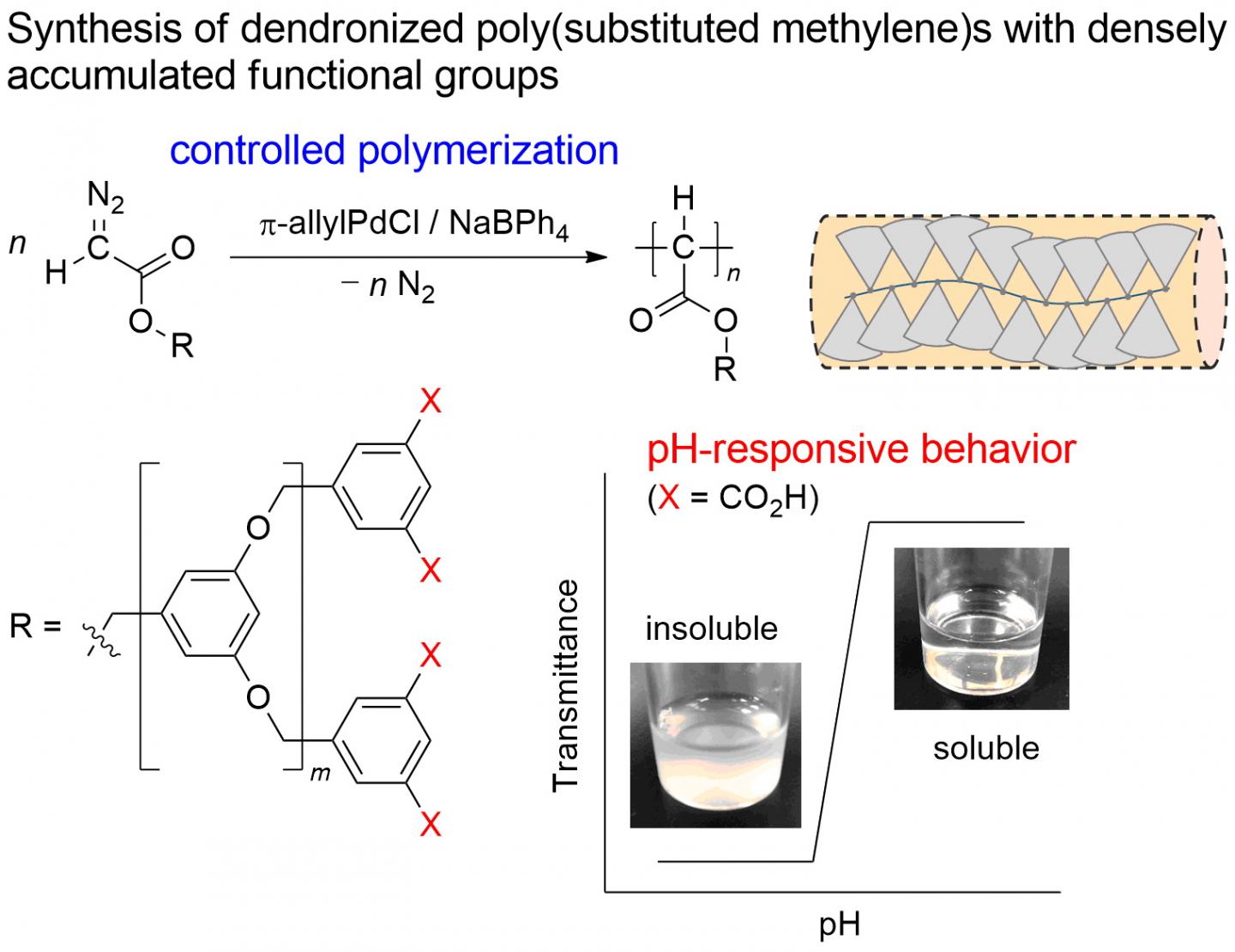 C1 Polymerization