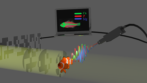 X-ray computational ghost fluorescence analysis