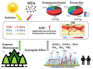 Secondary Organic Aerosols