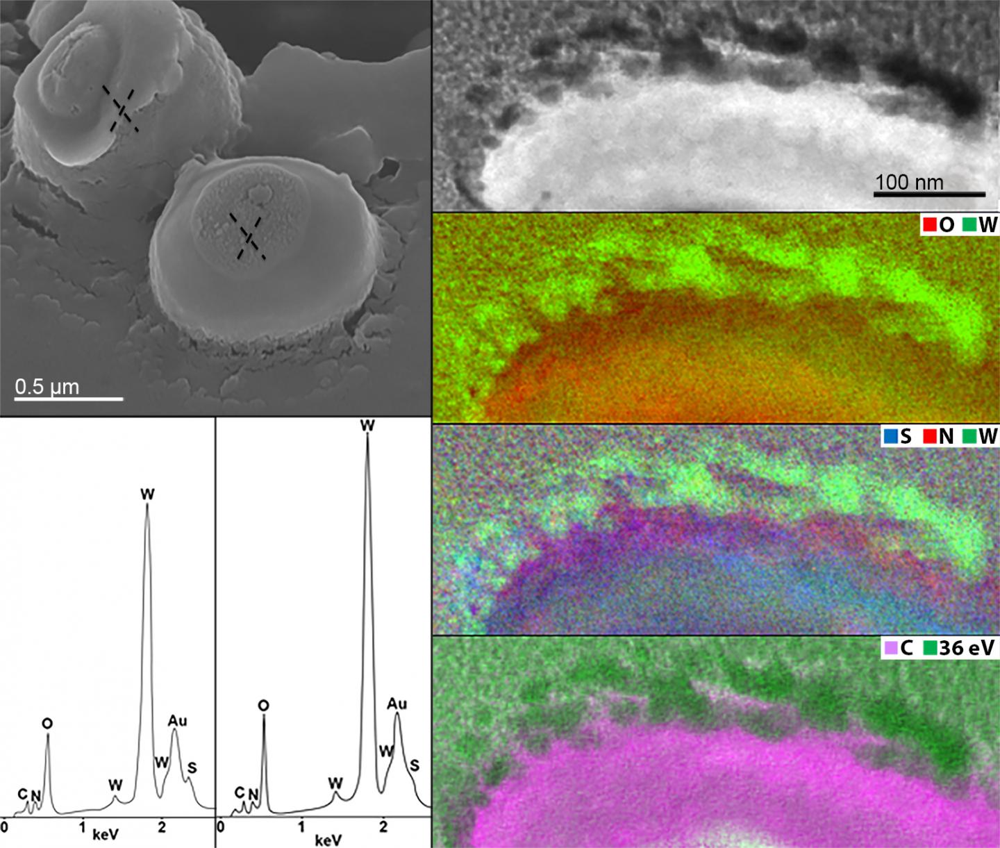 Nanoanalytical Spectroscopy