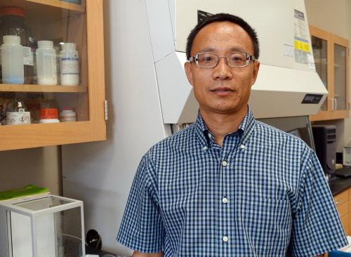 Yaowu Hao, University of Texas at Arlington