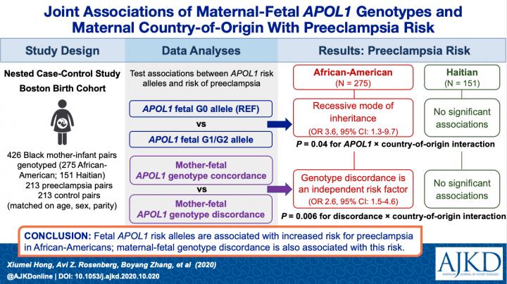 Joint Associations of Maternal-Fetal APOL1 Genotypes and Maternal Country of Origin With Preeclampsia Risk
