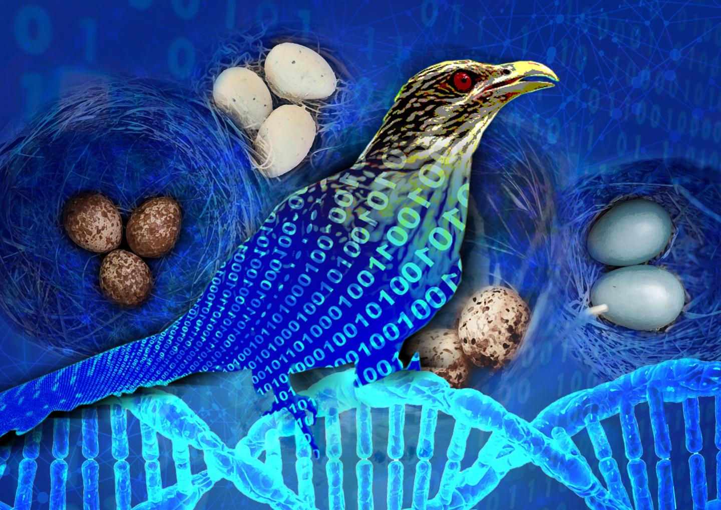 Experts Reduce Search Times for Novel High-Entropy Alloys 13,000-Fold Using Cuckoo Search