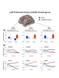 Left Prefrontal Cortex
