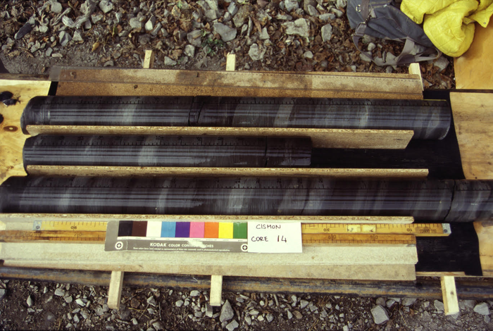 Core samples for Oceanic Anoxic Event 1a.