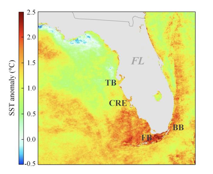 MODIS dataset