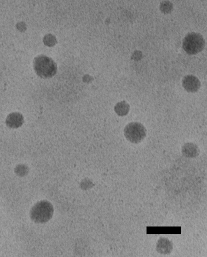 Nanoparticles