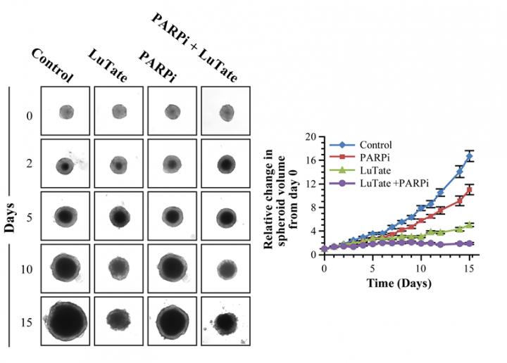 Lu-177-octreotate PRRT by PARP Inhibitors in a 3-D Spheroid Model