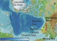 Arctic Sea Level Map