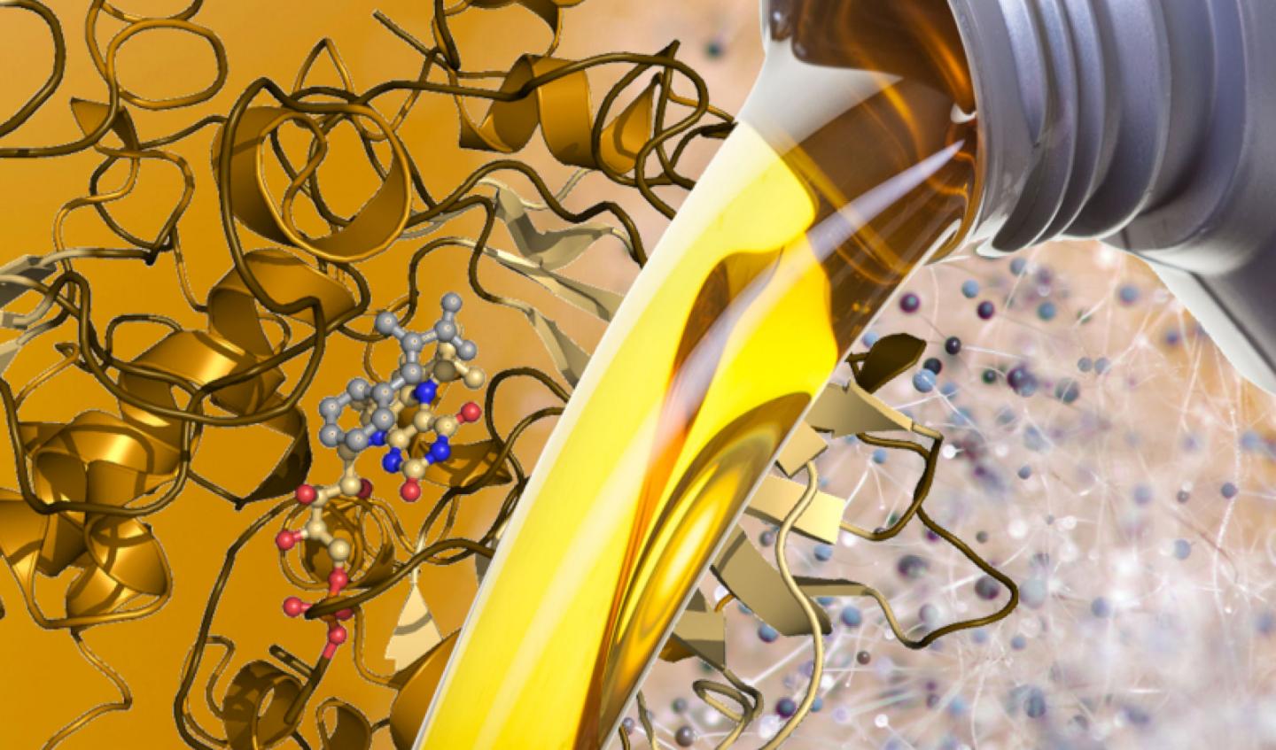 Producing Hydrocarbons for Biofuels and Manufacturing