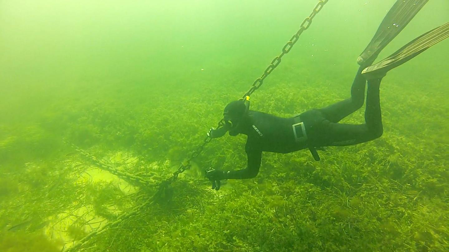 Photography Shows the Loss of Seagrass in Bays Around Rottnest Island off the Coast of Perth