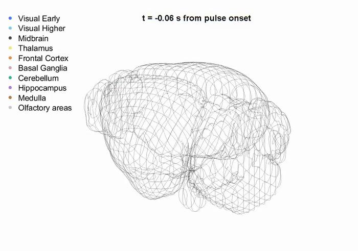 Brain activity evolves after brief (50ms) pulse of sensory evidence