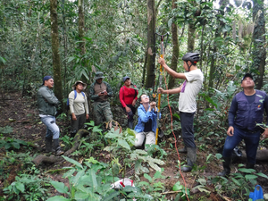 Park rangers in the field