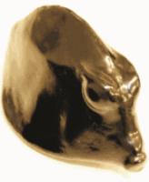 3-D Print of a Boxfish