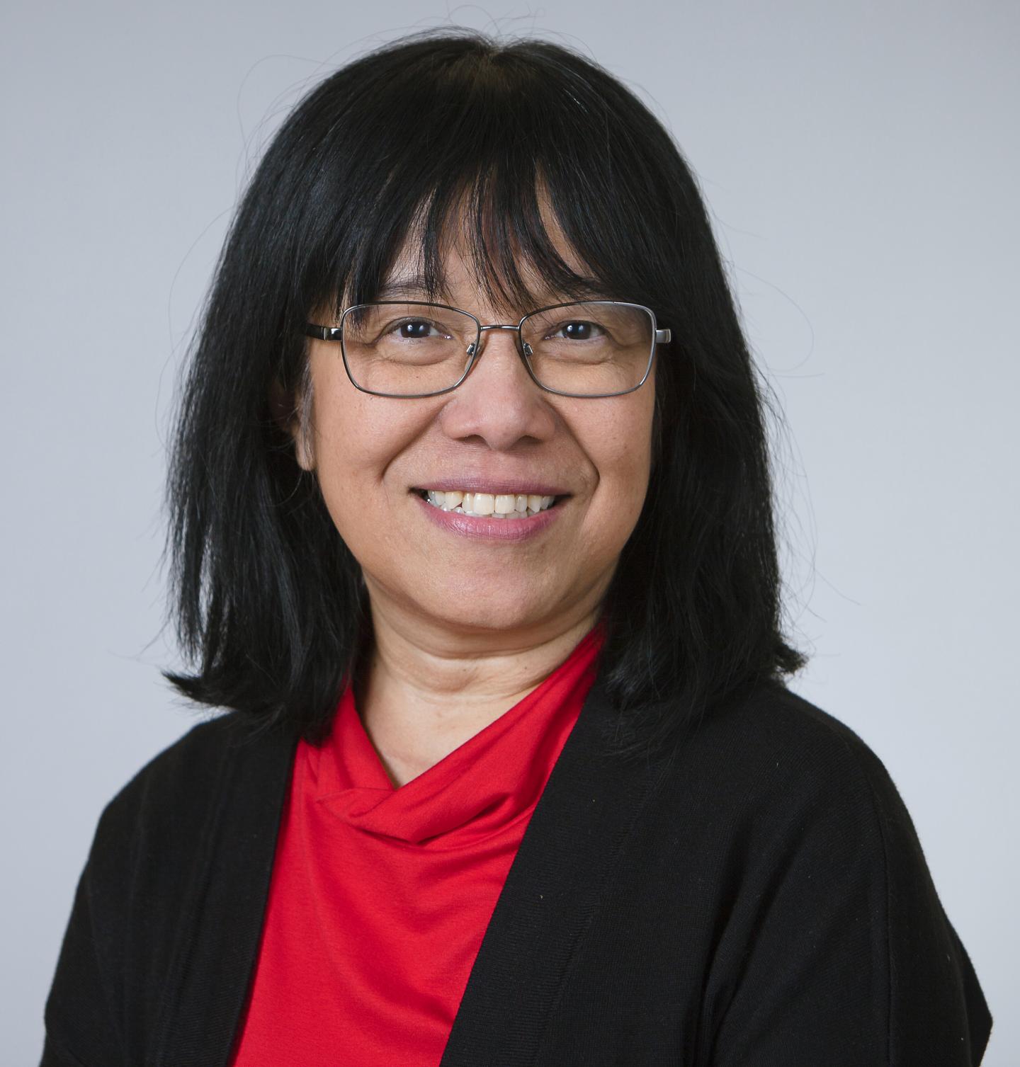 Professor Sun Nyunt Wai