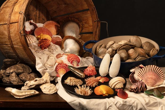 Human-harvested shellfish from the Smithsonian’s National Museum of Natural History research collections.