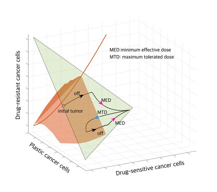 The Evolution of a Tumor Under Proposed Drug Dosing Cycles