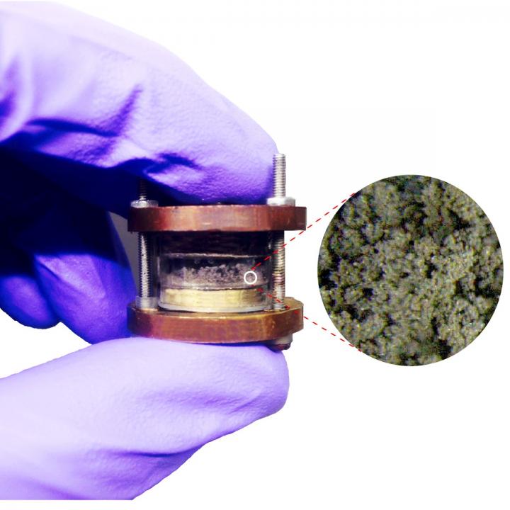 Naked-Eye Observation of Amorphous/fractal Lithium Dendrites