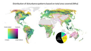 Distribution of disturbance patterns based on total area covered (Mha)