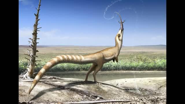 'Bandit-Masked' Feathered Dinosaur Hid From Predators using Multiple Types of Camouflage