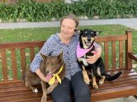 Claire Wade of University of Sydney with Kelpies Peppa and Cash
