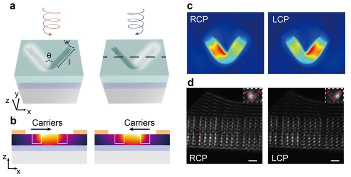 CPL-sensitive near field modes in achiral structures