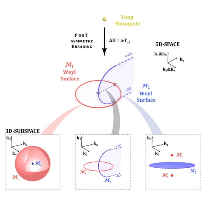 Yang monopoles and linked Weyl surfaces