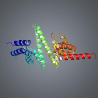 'Freezing a Bullet' to Find Clues to Ribosome Assembly Process