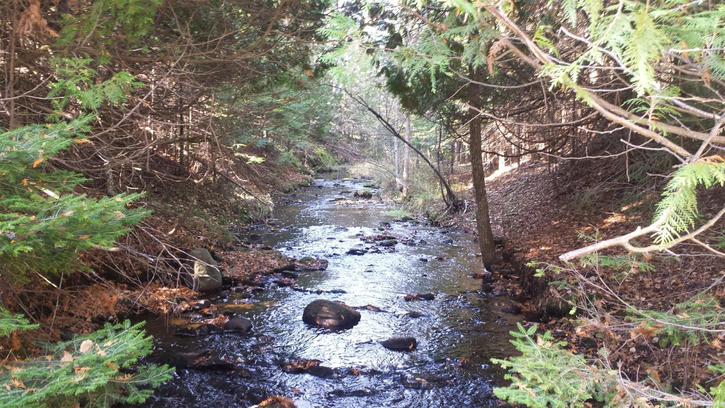 Martin Creek, which flows into Martin Bay of Big Bay de Noc in Lake Michigan.