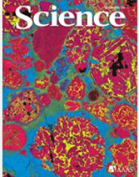 June 20, 2008 issue of Science