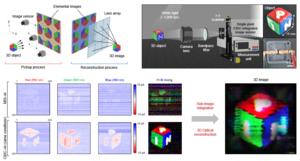 [Figure 3] Schematic of a 3D imaging and eyeglasses-free display system based on integral imaging, similar to the dragonfly eyelid structure implemented in this study.