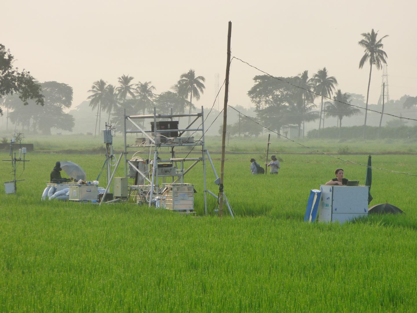 Nitrogen Flux Testing