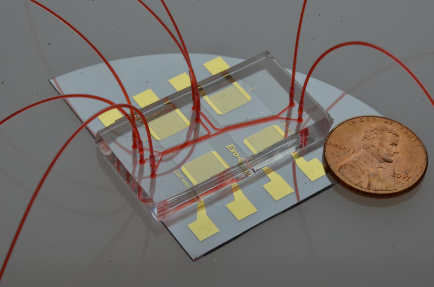 Acoustofluidics Saliva Test Shows Promise for Earlier and Easier Detection of Mouth and Throat Cance