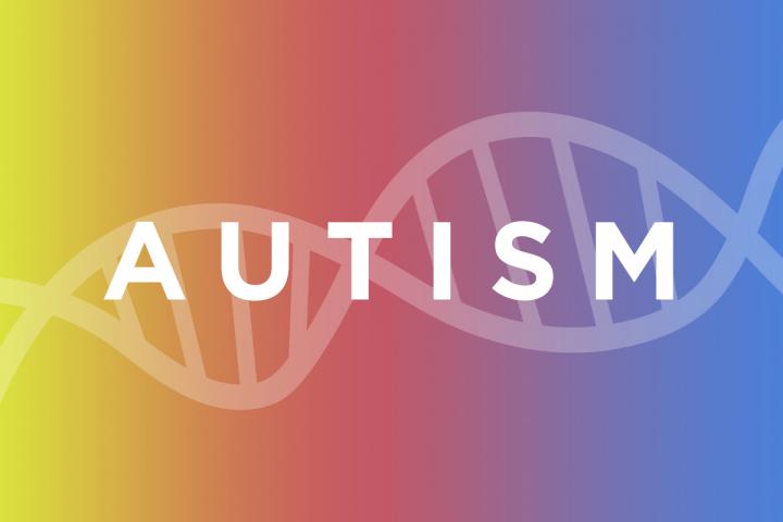 Autism Graphic