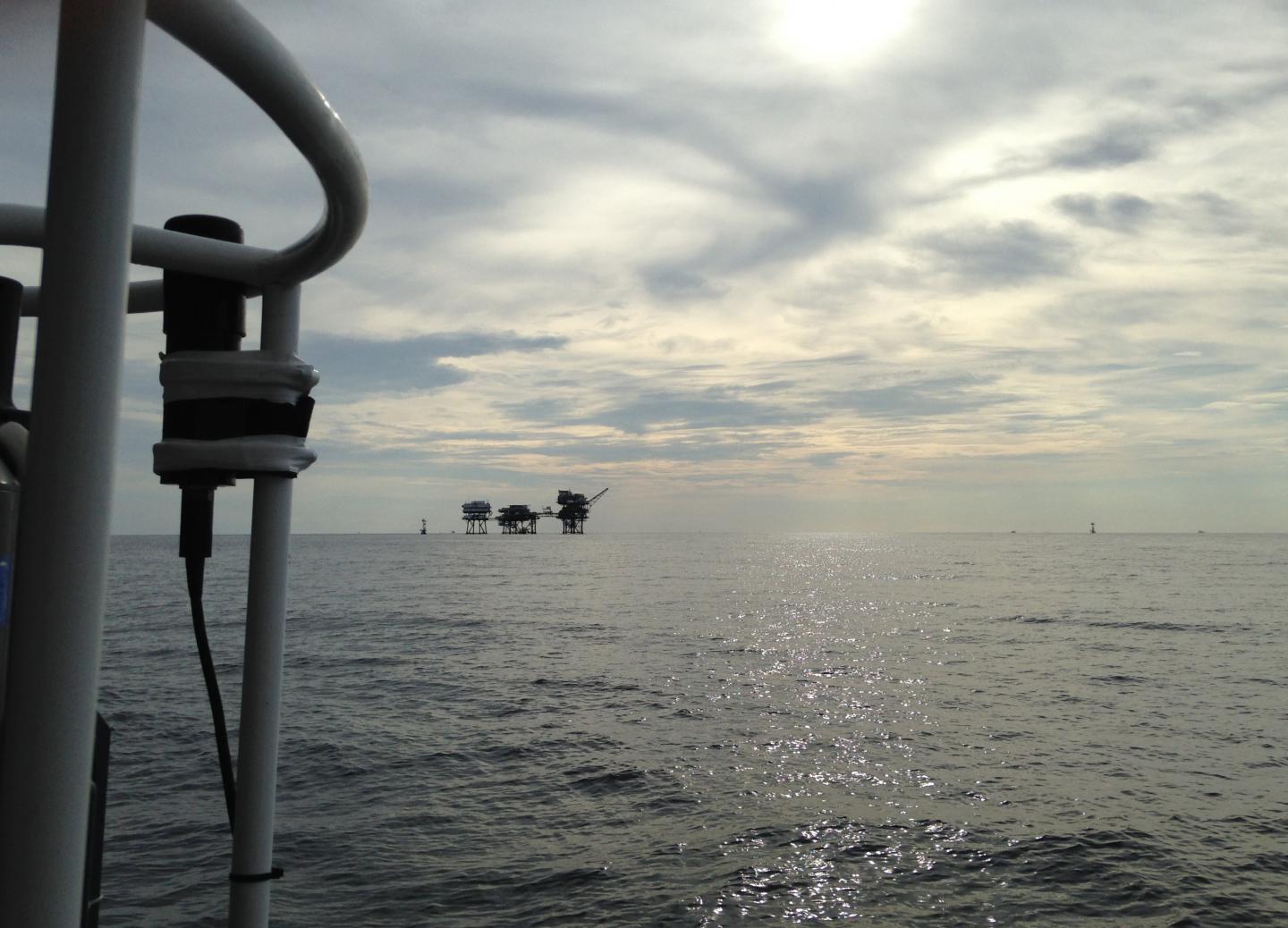 In the Gulf of Mexico