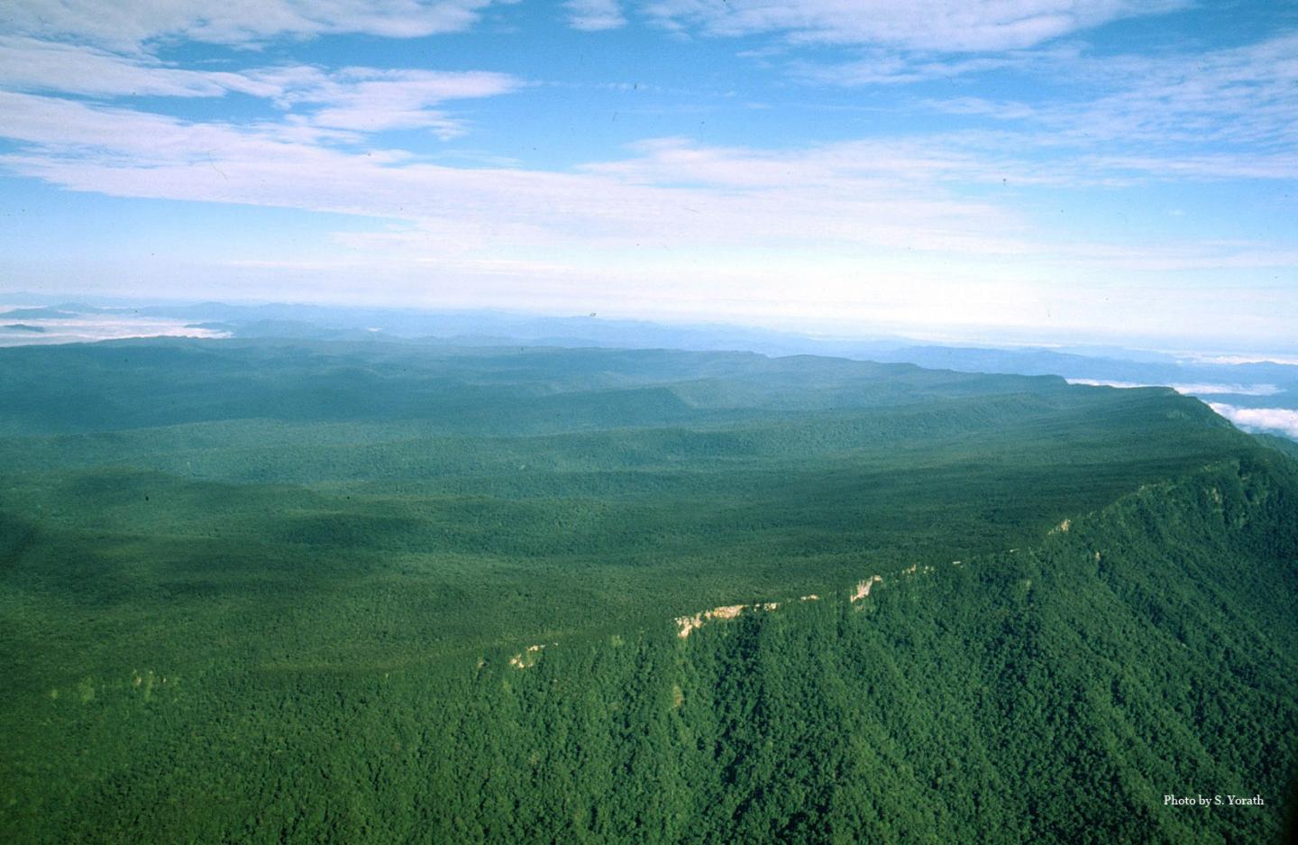 Maliau Basin, Borneo