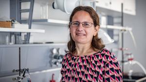 Prof. Dr. Karin Leistner from Chemnitz University of Technology will develop materials for electrochemically switchable micromagnets with outstanding energy efficiency