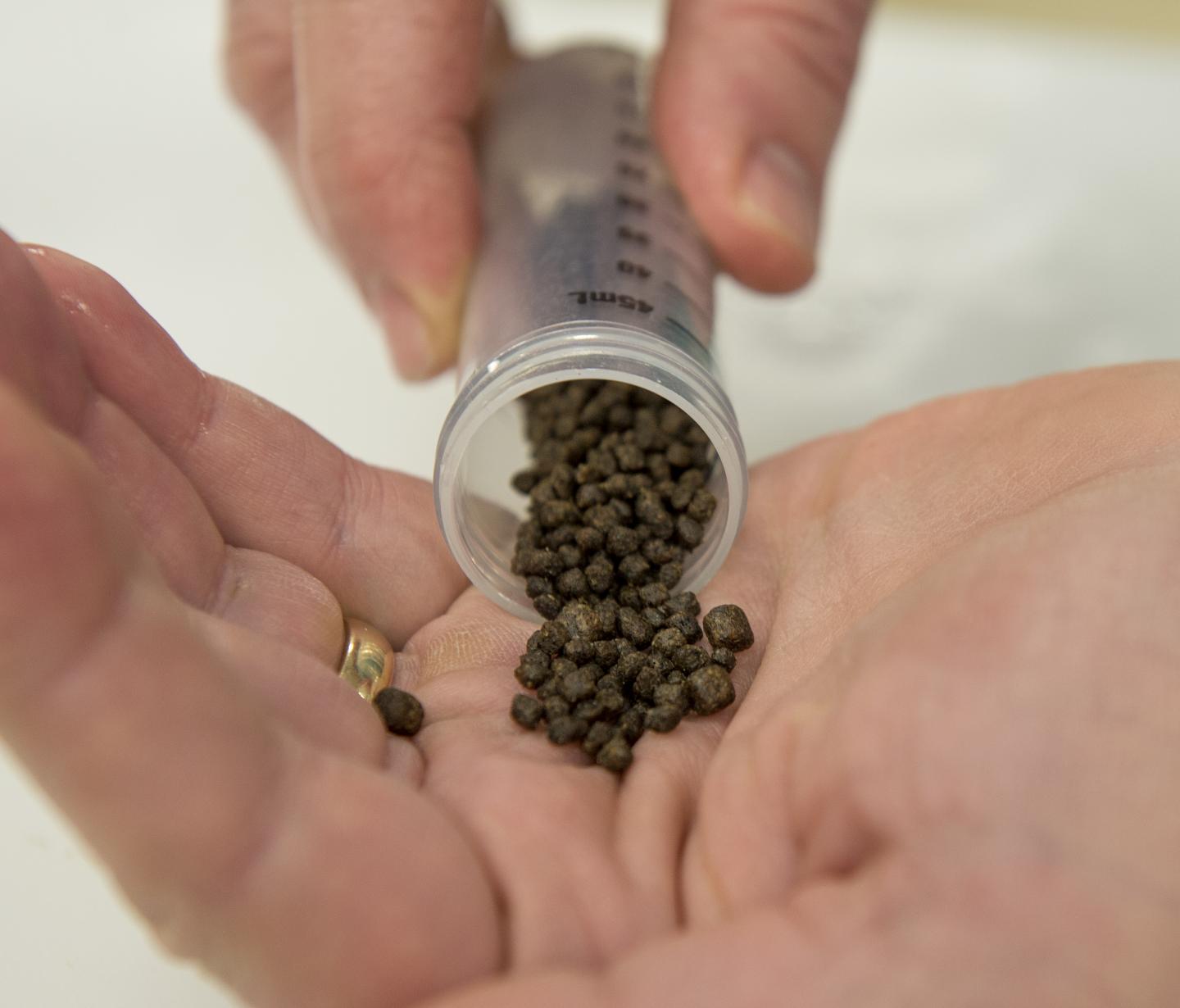 Trout Food Coated with Probiotic