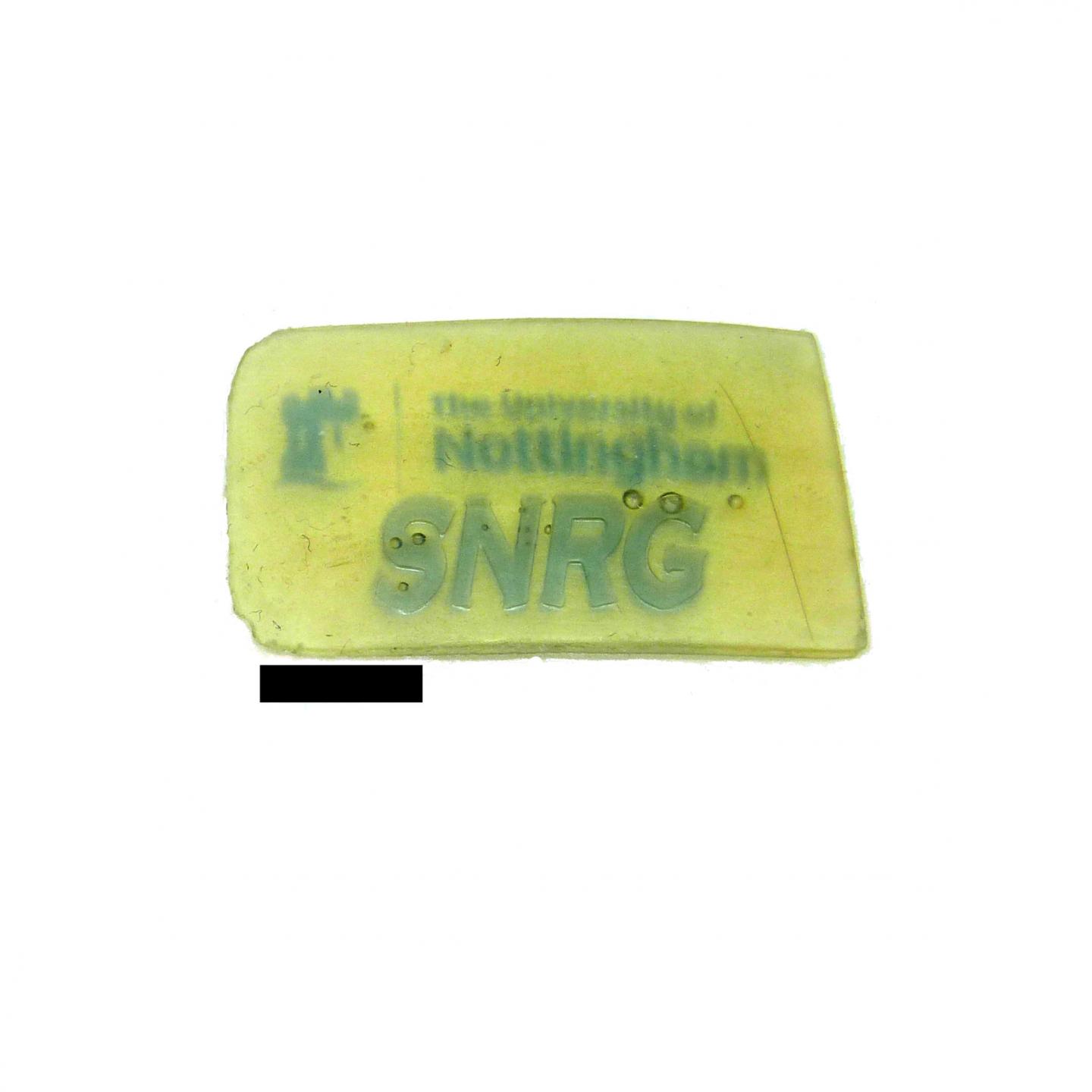 3D Printed University of Nottingham Logo